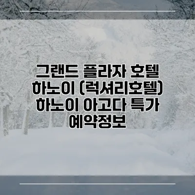 그랜드 플라자 호텔 하노이 (럭셔리호텔) 하노이 아고다 특가 예약정보