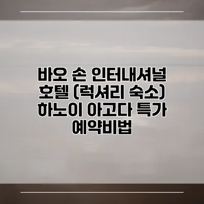 바오 손 인터내셔널 호텔 (럭셔리 숙소) 하노이 아고다 특가 예약비법