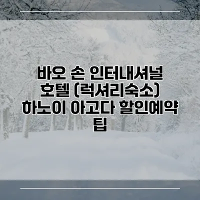 바오 손 인터내셔널 호텔 (럭셔리숙소) 하노이 아고다 할인예약 팁