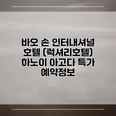 바오 손 인터내셔널 호텔 (럭셔리호텔) 하노이 아고다 특가 예약정보