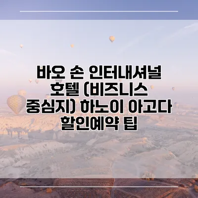 바오 손 인터내셔널 호텔 (비즈니스 중심지) 하노이 아고다 할인예약 팁