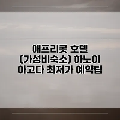 애프리콧 호텔 (가성비숙소) 하노이 아고다 최저가 예약팁