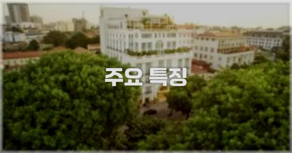 ✨ 주요 특징