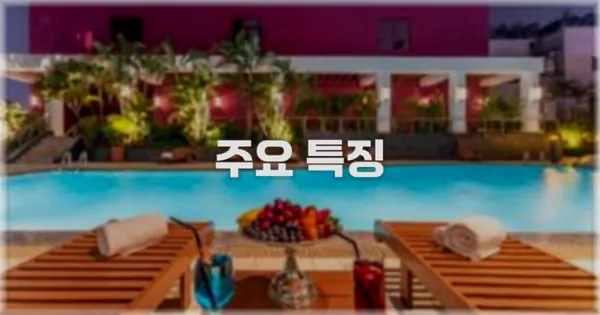 ✨ 주요 특징