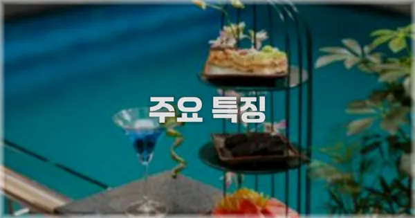 ✨ 주요 특징